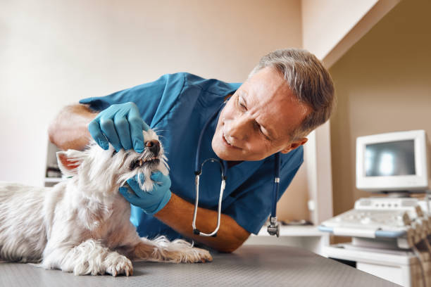 Best Walk-In Emergency Dentist in Hillsboro, KS